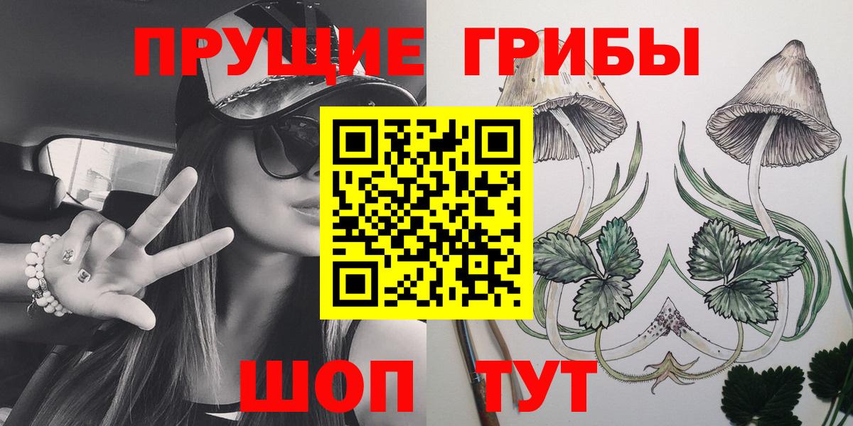 Псилоцибиновые грибы Psilocybine cubensis  Вход с VPN  Сухой Лог 